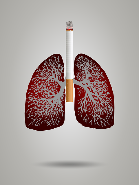 augmentation du risque de maladies cardiovasculaires