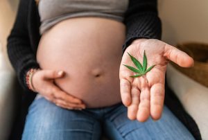 Le Cannabis est sans danger pendant la grossesse